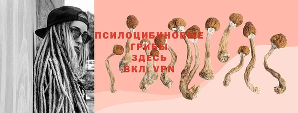 ALPHA PVP Рославль